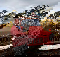 The Shiraz Republic - Travel Agents