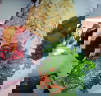 Bistro on Cinders - Travel Agents