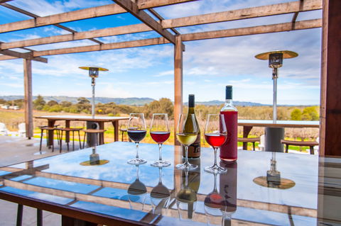 David Franz - Travel Search 2