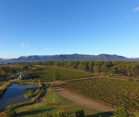 Mistletoe Winery - Tourism Guide 0