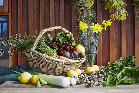 O'Reilly's Orchard - Travel Agents 1