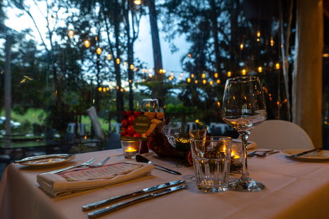 Rainforest Restaurant And Lounge Bar - Travel Agents 1