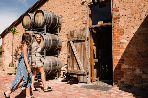 Shingleback Wine - Travel Agents 1