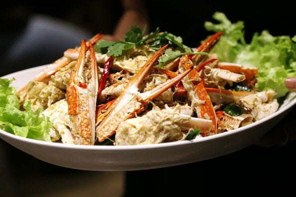 Bankstown NSW Tourism Guide
