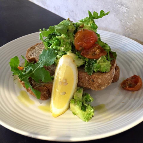 The Little Banksia - Travel Search 0