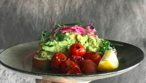 Where The Wolves Eat - Travel Search 0