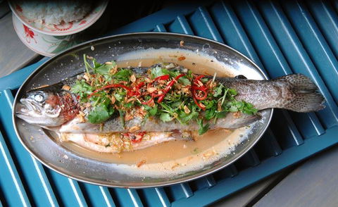 House Of Hoi An - Cruises Travel 9