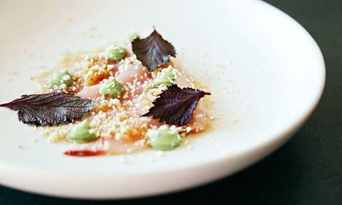 Rick Shores - Tourism Guide 10