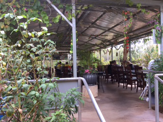 Alice Vietnamese Restaurant - Travel Search 4