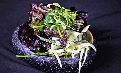 Six Acres - Travel Search 10