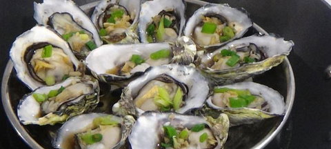 Tackleshack - Travel Agents 0