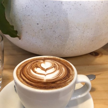Elementary Coffee - Travel Search 0