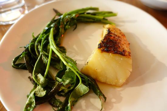 Surry Hills NSW Tourism Guide