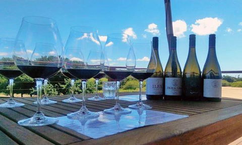 Currency Creek Winery Restaurant - Cruises Travel 14