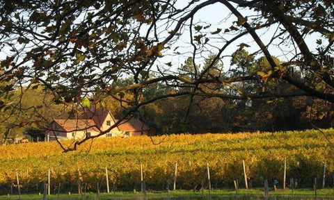 Currency Creek Winery Restaurant - Cruises Travel 5