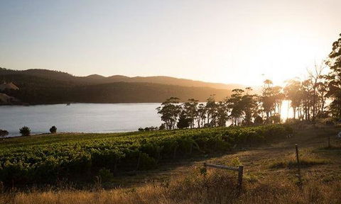 Currency Creek Winery Restaurant - Cruises Travel 8
