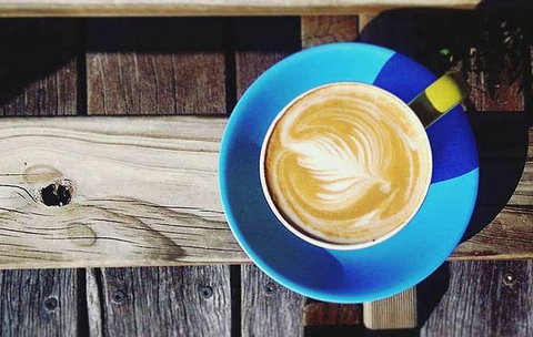 Bunkers Beach House - Travel Search 16