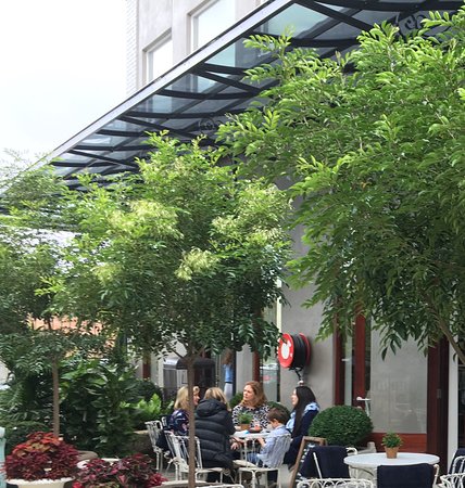 Harry's On Green Lane - Tourism Guide 0