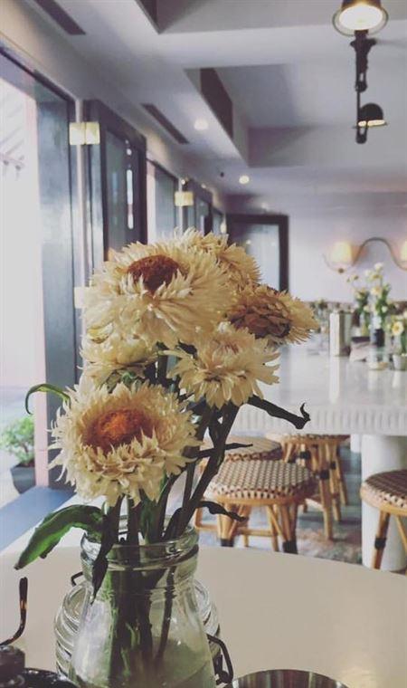 Luxe Woollahra - Cruises Travel 8