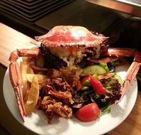 Safari Club Bar  Grill - Travel Agents