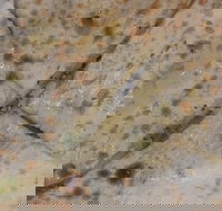 Copperpot Indian Restaurant - Travel Agents