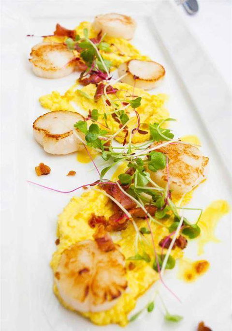 Marcellina's - Travel Search 20