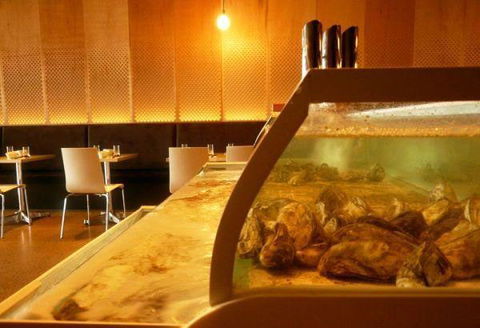 Steam Asian Restaurant - Cruises Travel 7