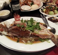 Shark Fin Inn - Tourism Guide