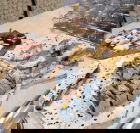 Cafe Uccello - Travel Agents