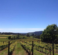 Barringwood Vineyard and Cellar Door Restaurant - Tourism Guide