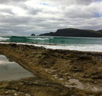Bruny Island Berry Farm - Cruises Travel