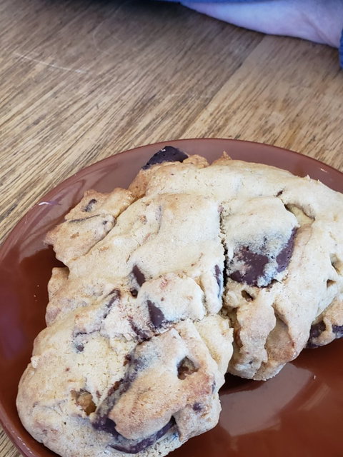 Bruny Island Cafe - Travel Agents 7