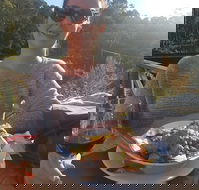 Cradle Forest Inn - Travel Search