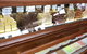 Fudge'n'Good Coffee - thumb 1