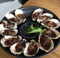 Get Shucked Oyster - Cruises Travel