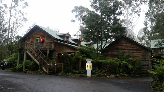 Moina TAS Travel Search