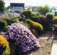 Pipers River Tea House and Crafts - Travel Agents