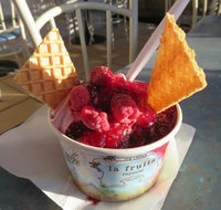 The Pondering Frog - Travel Agents