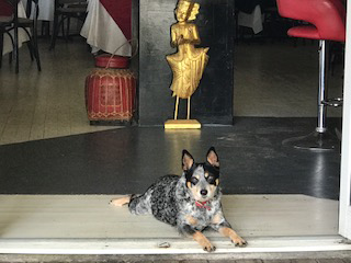 Gatakers Landing Restaurant - Travel Agents 4