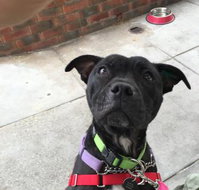 Raymond's Cafe - Travel Agents