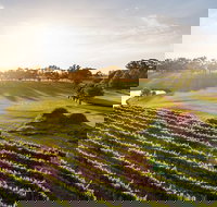 Sandalford Restaurant - Travel Search