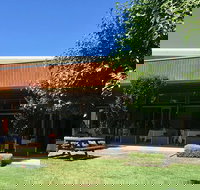 Wild Swan - Travel Search