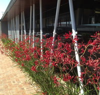 BiteZ - Travel Agents