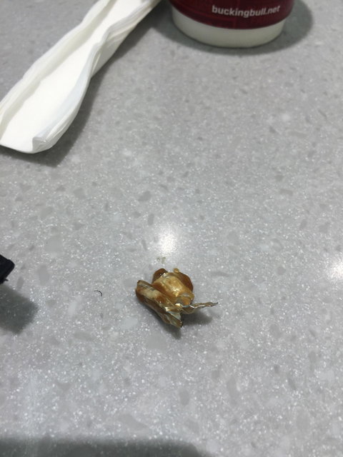 Bucking Bull Rockingham - Travel Search 1