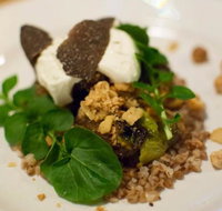 Foragers - Travel Agents