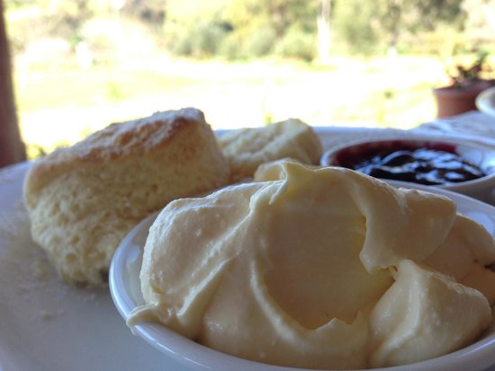 Springs WA Cruises Travel