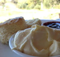 Tanglefoot Winery Cafe - Cruises Travel