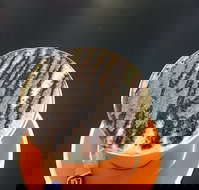 The Daily Grind Cafe - Travel Agents