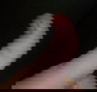 The Roast N Grill Cafe - Travel Agents