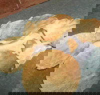 The Taj Restaurant - Travel Agents